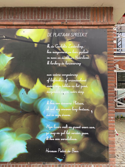 De plataan spreekt, gedicht van Herman Pieter de Boer, gevonden in de Bollenhofsestraat in Utrecht